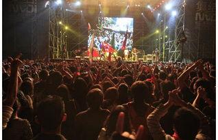 广西音乐节爆料视频大全,广西音乐节精彩瞬间大盘点